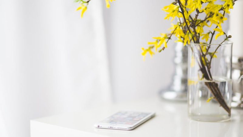 Top Features of Instabio for USA Social Media Users