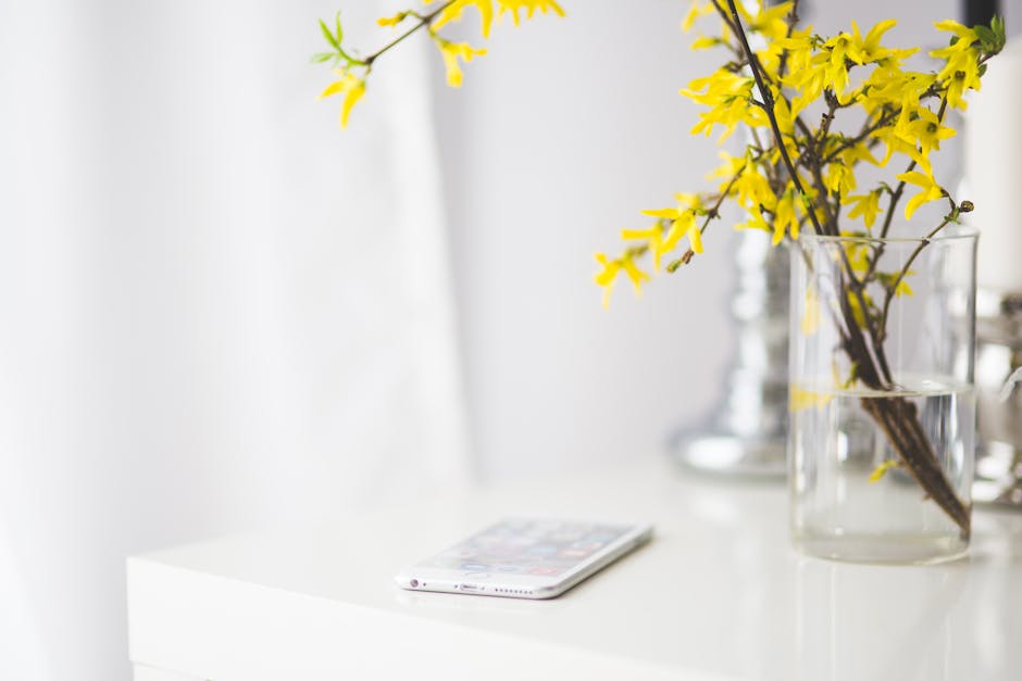 Top Features of Instabio for USA Social Media Users