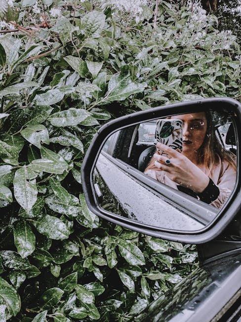 Why a Bio Link is Vital for USA Influencers