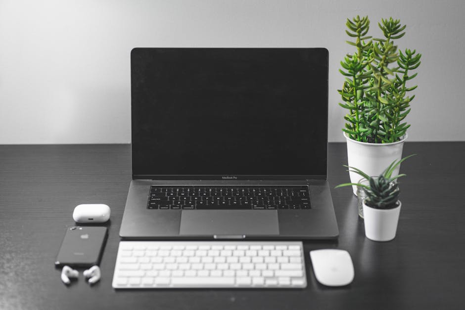 Creating a Bio Link for USA Freelance Artists