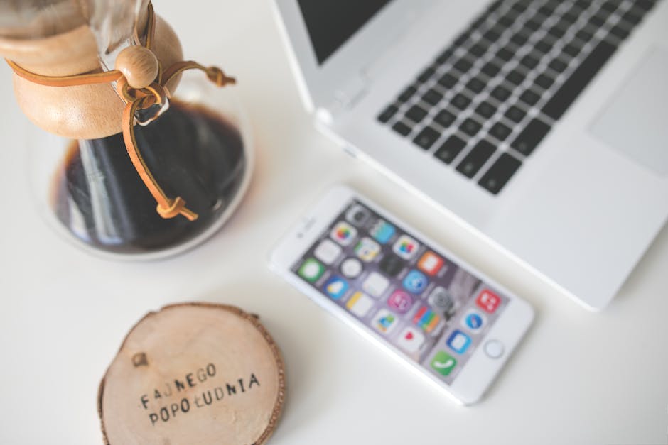 Building a Bio Link for USA TikTok Marketers