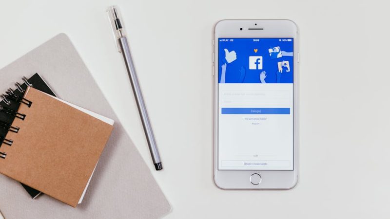 Customizing Bio Links for USA Marketing Teams