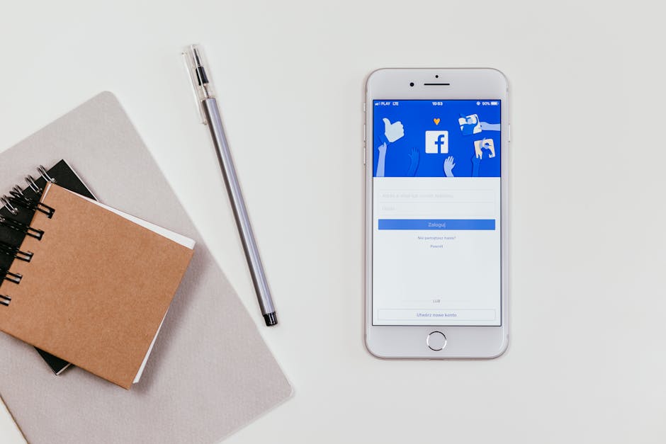 Customizing Bio Links for USA Marketing Teams