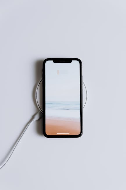 Comparing Instabio vs Linktree for USA Marketers
