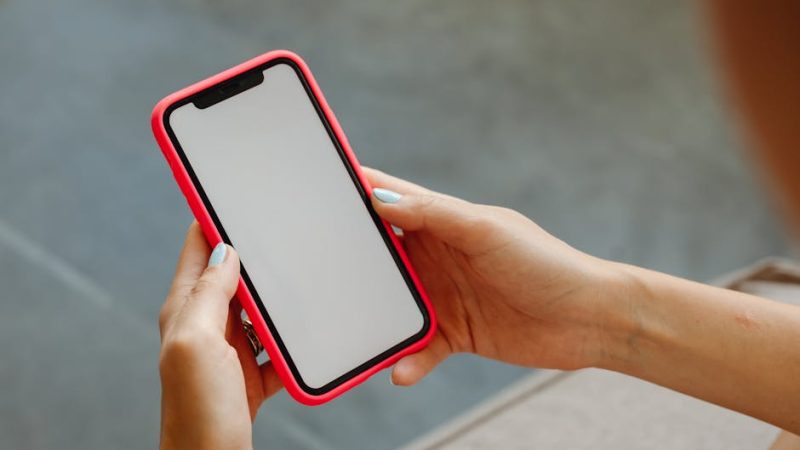 Optimizing Your Bio Link for USA Engagement