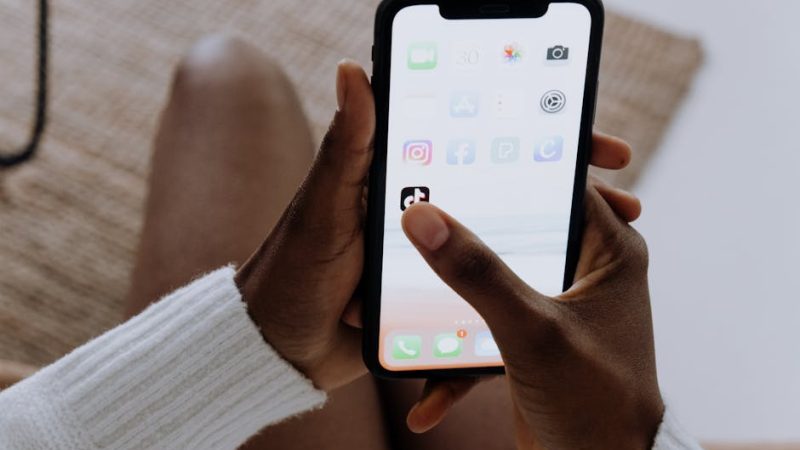 Top 5 Free Bio Link Tools for USA Coaches