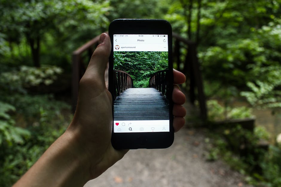 Top Features of Linktree for USA Social Media Users