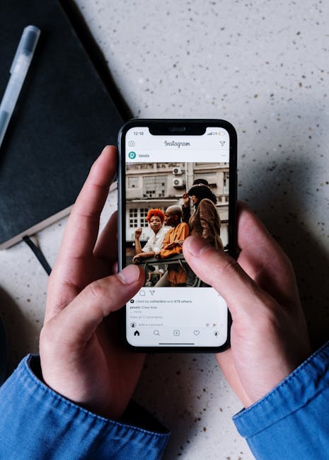 Using Link in Bio Tools for USA Product Launches